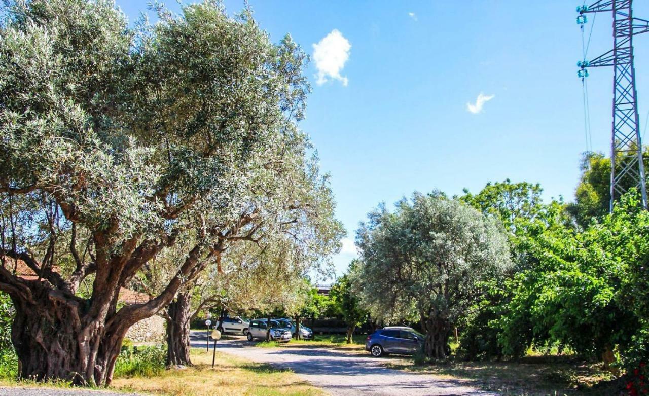 Country House Paola Marina di Gioiosa Ionica Exterior photo